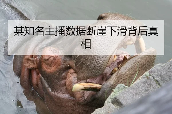 某知名主播数据断崖下滑背后真相